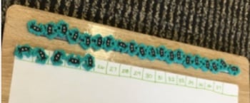 A row of blue objects on a white surface
Description automatically generated